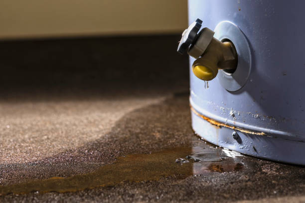 Best Water damage restoration near me  in Riverside, OH