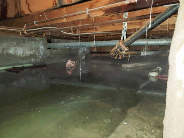Best Water damage restoration near me  in Riverside, OH