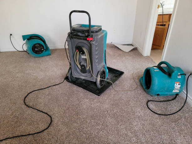 Best Residential water damage restoration  in Riverside, OH