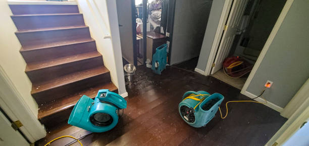 Best Water damage cleanup near me  in Riverside, OH