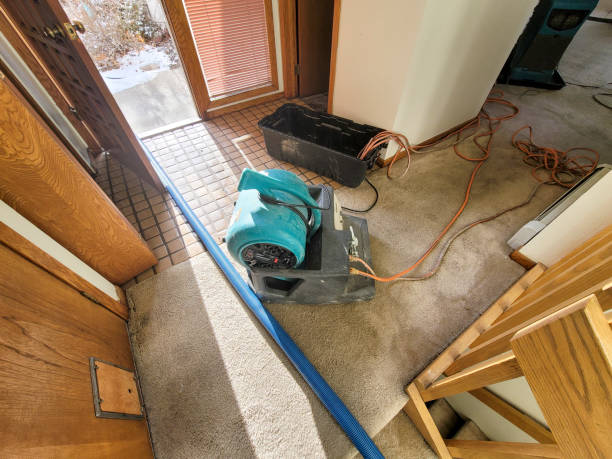 Best Local water damage restoration  in Riverside, OH
