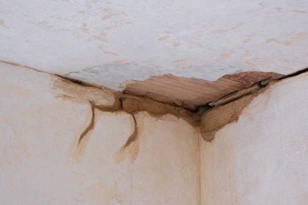 Best 24/7 water damage repair  in Riverside, OH