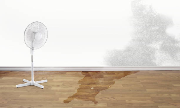 Best Water damage restoration insurance claims  in Riverside, OH